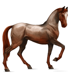 cal de călărit tennessee walker roib închis