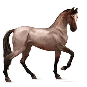 cal de călărit mustang Șarg