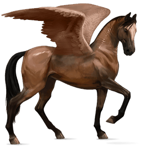 pegas de călărit akhal-teke murg