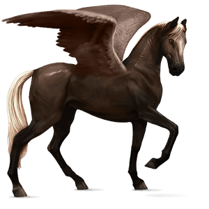 pegas de călărit akhal-teke murg