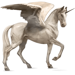 unicorn de călărit cu aripi akhal-teke sur