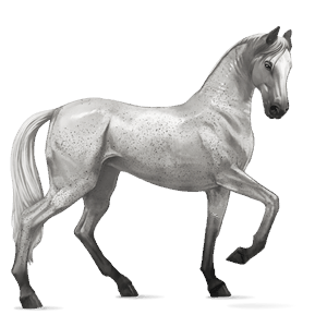 cal de călărit akhal-teke albinos
