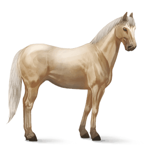 cal de călărit hanoverian sur rotat
