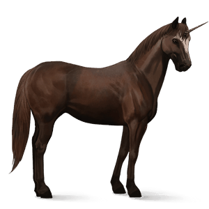 unicorn de călărit quarter horse murg închis