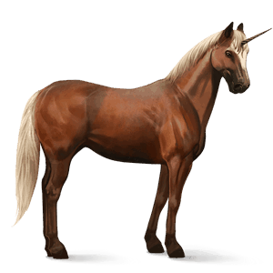 unicorn de călărit akhal-teke pacomira 