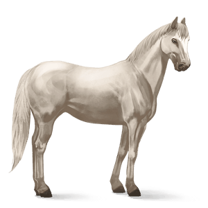 cal de călărit tennessee walker roib închis blond 
