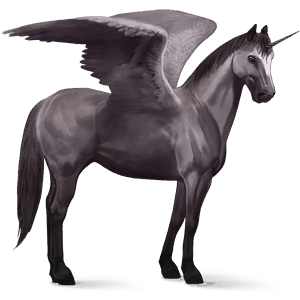 unicorn de călărit cu aripi quarter horse sur şoriciu