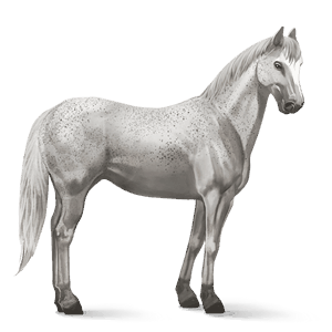 cal de călărit tennessee walker sur rotat