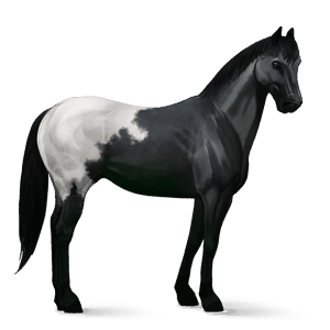 cal de călărit tennessee walker murg închis