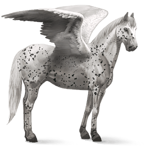 pegas de călărit akhal-teke murg