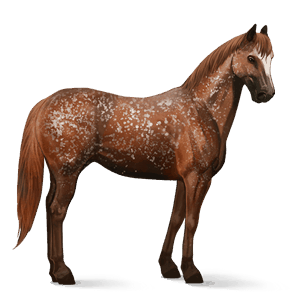 cal de călărit mustang roib