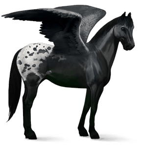 pegas de călărit mustang pacomira 