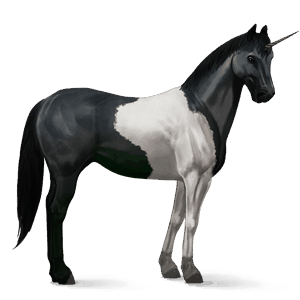 unicorn de călărit Șarg bălțat
