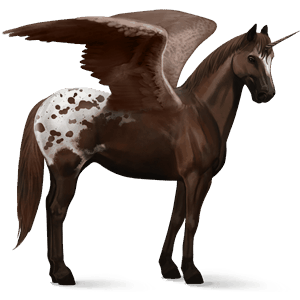unicorn de călărit cu aripi paint horse Șarg bălțat
