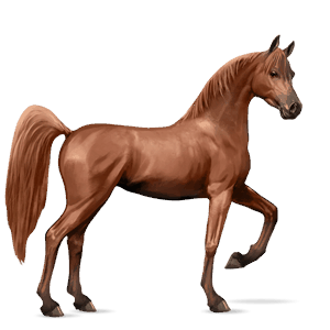 cal de călărit mustang sur şoriciu