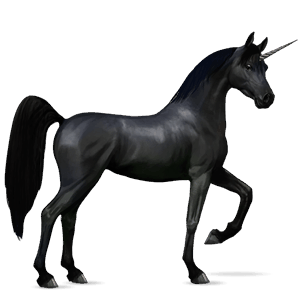 unicorn de călărit paint horse sur şoriciu bălțat