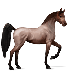 cal de călărit tennessee walker murg deschis