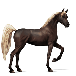 cal de călărit tennessee walker Șarg