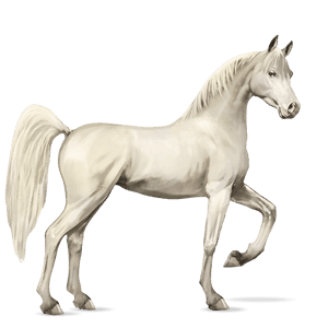 cal de călărit albinos