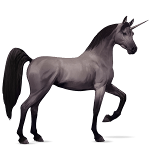 unicorn de călărit mustang chestnut blanket 