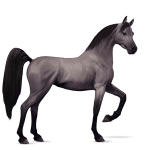 cal de călărit tennessee walker murg deschis