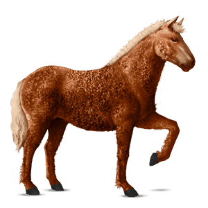 cal de călărit hanoverian piersiciu