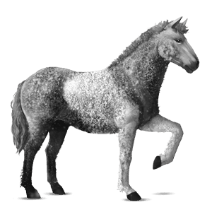 cal de călărit tennessee walker roib închis blond 