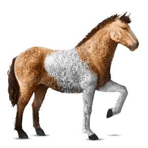 cal de călărit mustang Șarg