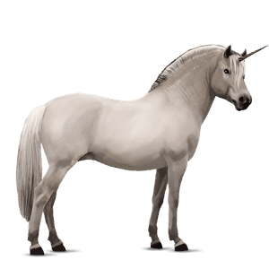 ponei unicorn welsh Șarg