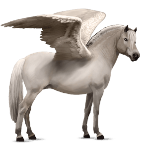 ponei pegas welsh sur