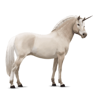 ponei unicorn haflinger roib închis blond 