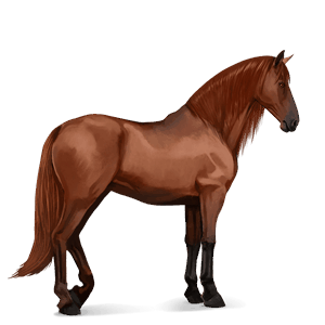 cal de călărit quarter horse Șarg