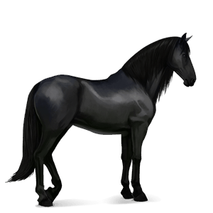 cal de călărit hanoverian roib