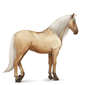 cal de călărit akhal-teke isabel
