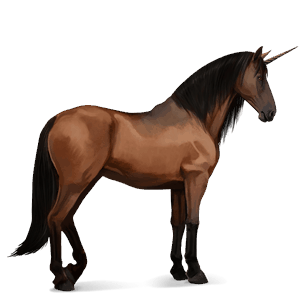 unicorn de călărit pursânge spaniol murg