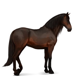 cal de călărit paint horse murg bălţat