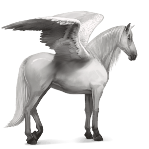 pegas de călărit camargue sur