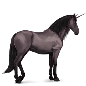 unicorn de călărit pursânge spaniol sur