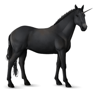 unicorn de călărit knabstrupper black leopard 