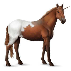 unicorn de călărit chestnut blanket 