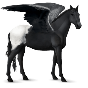 pegas de călărit tennessee walker dereş