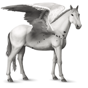 pegas de călărit tennessee walker negru