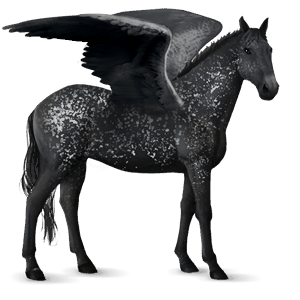 pegas de călărit knabstrupper black snowflake 