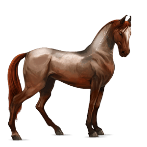 cal de călărit paint horse roib bălţat