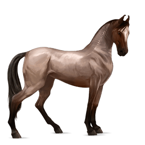 cal de călărit hanoverian dereş