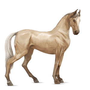 cal de călărit mustang roib