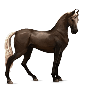 cal de călărit mustang roib