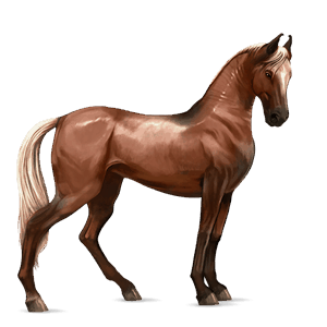 cal de călărit mustang negru