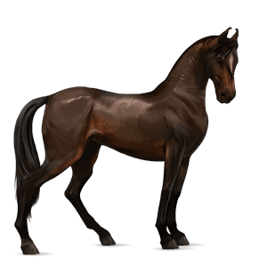 cal de călărit tennessee walker murg