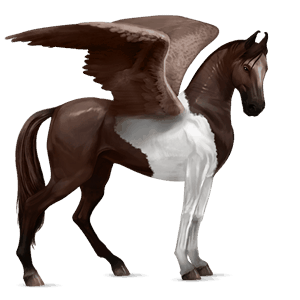 pegas de călărit mustang murg închis